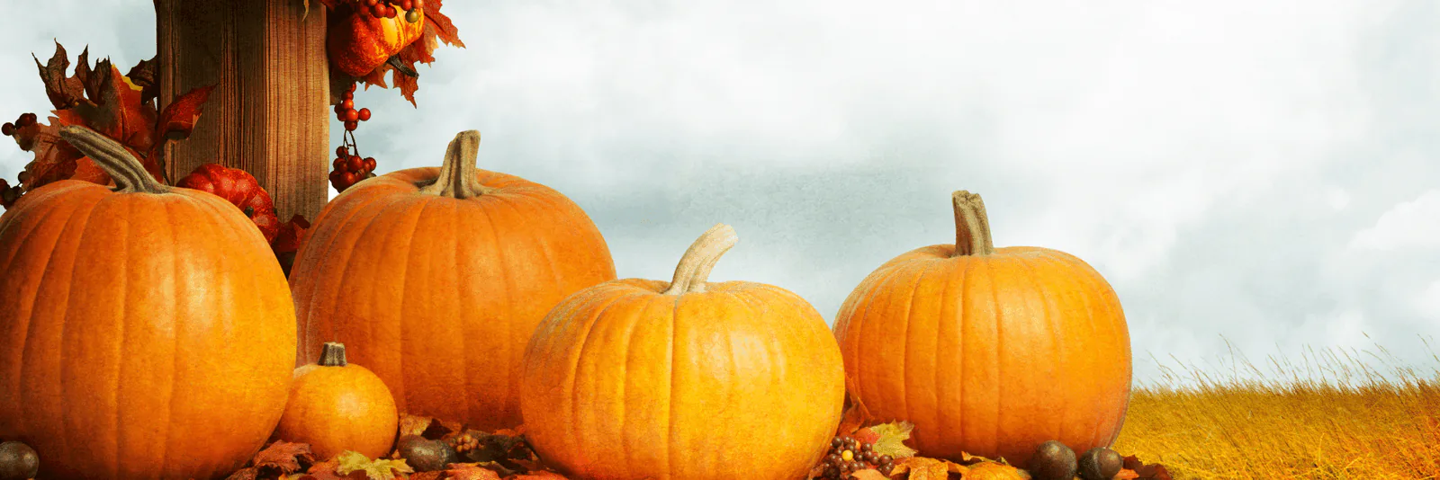 Row of orange pumpkins on straw with autumn leaves and acorns under a pale sky