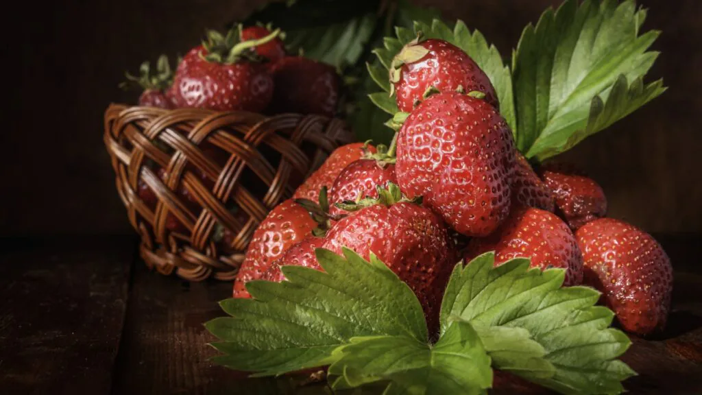 Ripe strawberries spilling from a wicker basket with green leaves on a dark wooden table
