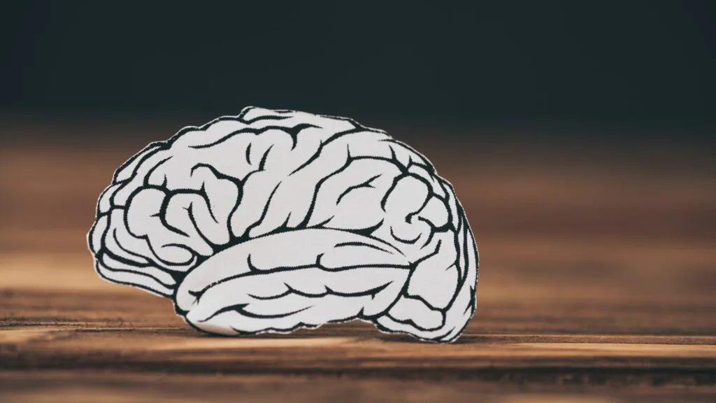 Paper cutout of a human brain standing upright on a wooden table