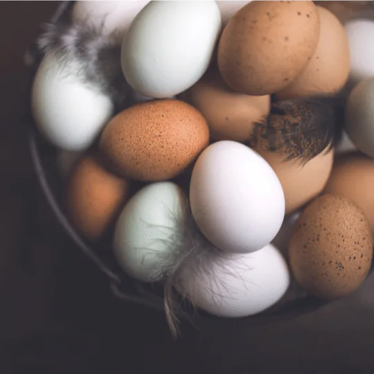 Brown, white and speckled eggs nestled together in a basket