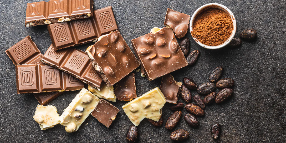 Chocolate bars, broken pieces, cocoa powder and cocoa beans arranged on dark slate
