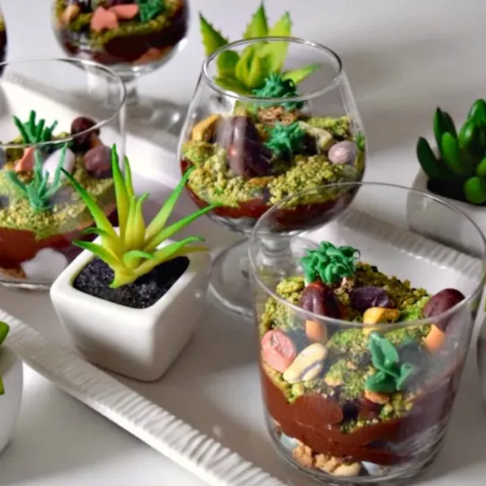 Glasses layered like terrariums with chocolate pudding, green crumb moss, candy pebbles and sugar succulents