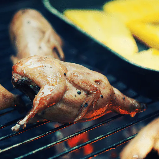 Small whole bird grilling over hot coals beside charred corn on the cob