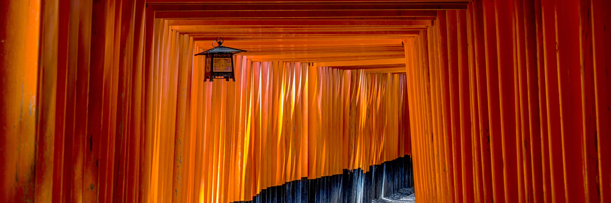 Tunnel of vermilion torii gates with a hanging lantern at a Japanese shrine