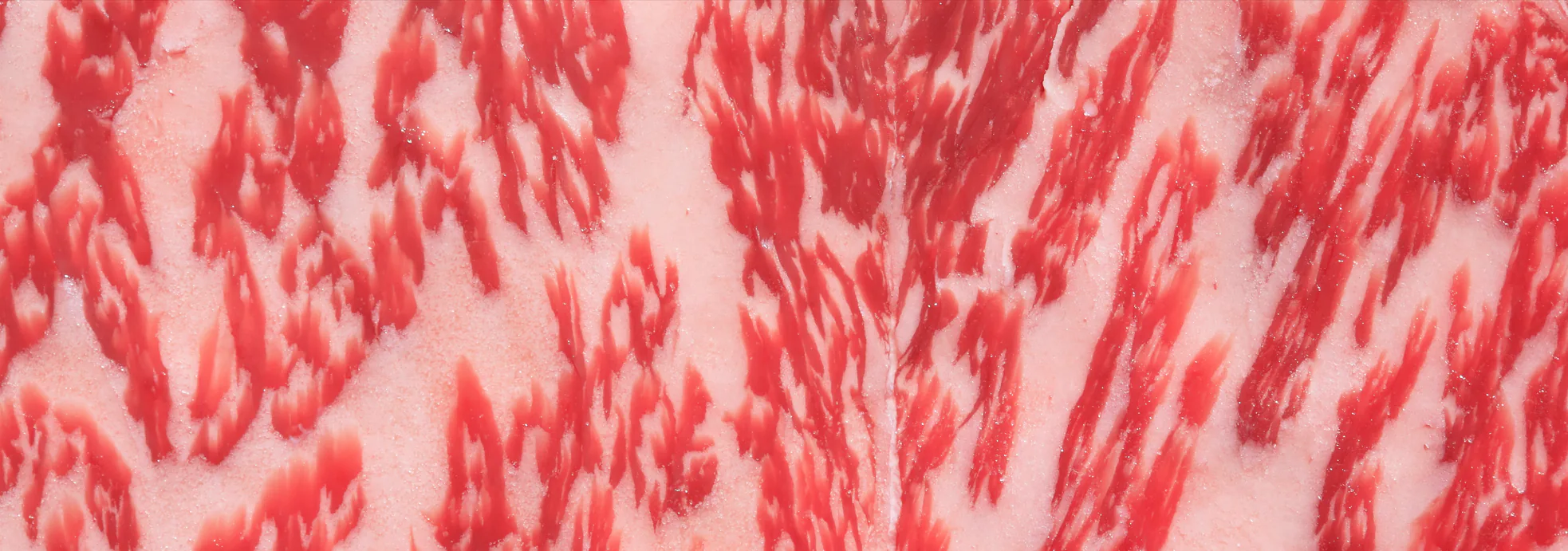 Extreme close-up of the fine white fat marbling running through a wagyu beef steak