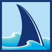 Blue Fin Group