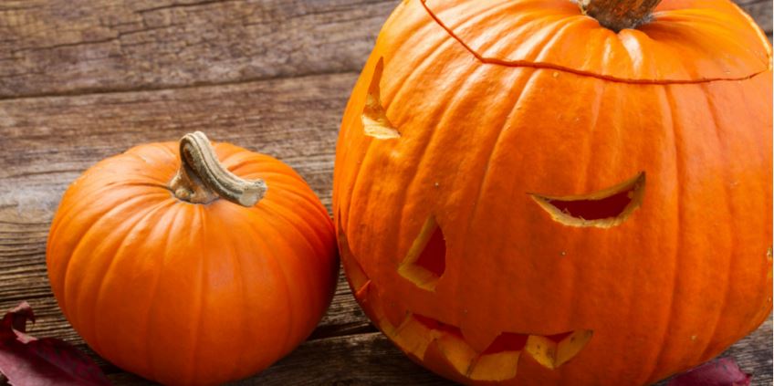 Halloween Cooking Specials Virtual Workshops | Rockoly